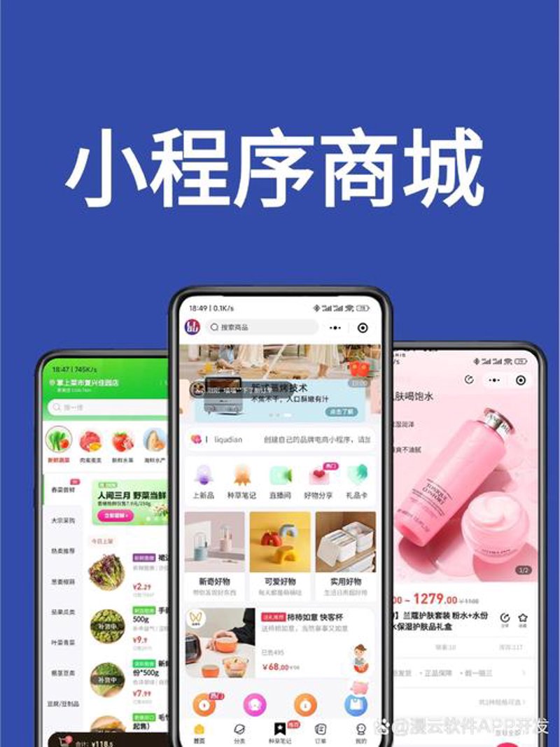 温州软件开发：助力企业数字化转型